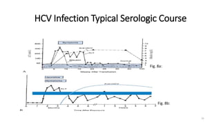 HCV Infection Typical Serologic Course
31
Fig. 8a:
Fig. 8b:
 
