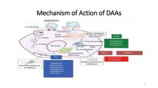 Mechanism of Action of DAAs
33
Lipoproteins
 