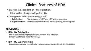 Clinical Features of HDV
• Infection is dependent on HBV replication.
• HBV provides HBsAg envelope for HDV
• Two types of infection are recognized
• Coinfection: Transmission of HBV and HDV at the same time
• Superinfection: Delta infection occurs in a person already harboring HBV
38
PREVENTION
• HBV-HDV Coinfection
Pre or post exposure prophylaxis to prevent HBV infection.
Screening of blood donor for HBsAg.
• HBV-HDV Superinfection
Education to reduce risk behaviors among persons with chronic HBV infection.
 