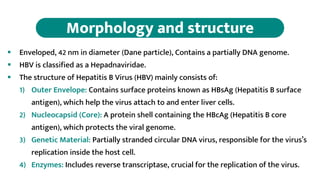 Hep Shell Comprehensive Overview of Hepatitis Viruses: Structure, Transmission ...