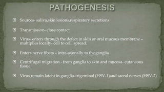  Sources- saliva,skin lesions,respiratory secretions
 Transmission- close contact
 Virus- enters through the defect in skin or oral mucous membrane –
multiplies locally- cell to cell spread.
 Enters nerve fibers – intra-axonally to the ganglia
 Centrifugal migration - from ganglia to skin and mucosa- cutaneous
tissue
 Virus remain latent in ganglia-trigeminal (HSV-1)and sacral nerves (HSV-2)
 