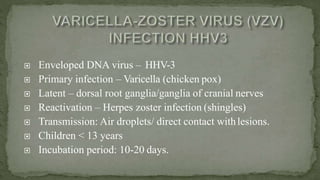  Enveloped DNA virus – HHV-3
 Primary infection – Varicella (chicken pox)
 Latent – dorsal root ganglia/ganglia of cranial nerves
 Reactivation – Herpes zoster infection (shingles)
 Transmission: Air droplets/ direct contact withlesions.
 Children < 13 years
 Incubation period: 10-20 days.
 