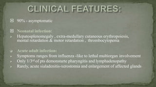  90% - asymptomatic
 Neonatal infection:
 Hepatosplenomegaly , extra-medullary cutaneous erythropoiesis,
mental retardation & motor retardation , thrombocytopenia
 Acute adult infection:
 Symptoms ranges from influenza -like to lethal multiorgan involvement
 Only 1/3rd of pts demonstarte pharyngitis and lymphadenopathy
 Rarely, acute sialadenitis-xerostomia and enlargement of affected glands
 