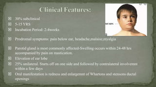  30% subclinical
 5-15 YRS
 Incubation Period: 2-4weeks
 Prodromal symptoms: pain below ear, headache,malaise,myalgia
 Parotid gland is most commonly affected-Swelling occurs within 24-48 hrs
accompanied by pain on mastication.
 Elevation of ear lobe
 25% unilateral. Starts off on one side and followed by contralateral involvemnt
within a few days
 Oral manifestation is redness and enlargemnt of Whartons and stensons ductal
openings
 