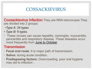 COXSACKIEVIRUS
Coxsackievirus Infection They are RNA retroviruses They
are divided into 2 groups:
•Type A: 24 types
• Type B: 6 types.
• These viruses can cause hepatitis, meningitis, myocarditis,
pericarditis and respiratory disease. These diseases occur
more frequently from June to October
Transmission
• Fecal oral route: It is major path of transmission.
• Saliva: during acute condition.
• Predisposing factors: Overcrowding, poor oral hygiene
may aid to infection .
 