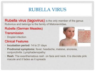 RUBELLA VIRUS
Rubella virus (tagovirus) is the only member of the genus
Rubivirus and belongs to the family of Matonaviridae.
Rubella (German Measles)
Transmission
• Droplet infection
Clinical Features
• Incubation period: 14 to 21 days
• Prodromal symptoms: fever, headache, malaise, anorexia,
conjunctivitis ,Lymphadenopathy:
• Rash: The exanthematous rash on face and neck. It is discrete pink
macule and it fades as it spreads
 