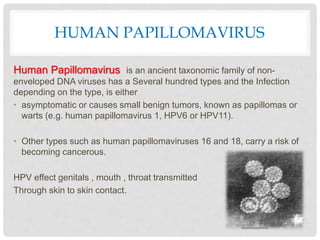 HUMAN PAPILLOMAVIRUS
Human Papillomavirus is an ancient taxonomic family of non-
enveloped DNA viruses has a Several hundred types and the Infection
depending on the type, is either
• asymptomatic or causes small benign tumors, known as papillomas or
warts (e.g. human papillomavirus 1, HPV6 or HPV11).
• Other types such as human papillomaviruses 16 and 18, carry a risk of
becoming cancerous.
HPV effect genitals , mouth , throat transmitted
Through skin to skin contact.
 