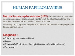 HUMAN PAPILLOMAVIRUS
Mucosal human papillomaviruses (HPV) are the cause of head and
neck squamous cell carcinomas (HNSCC), yet the global prevalence and
type distribution of HPV in HNSCC remains unclear.
there may be no signs or symptoms of cervical cancer until it has progressed
to a dangerous stage.
Diagnosis :-
• Colposcopy and acetic acid test
• Biopsy
• DNA test (PCR, Southern Blot Hybridization, In Situ Hybridization)
• Pap smear
 
