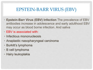 EPSTEIN-BARR VIRUS (EBV)
• Epstein-Barr Virus (EBV) Infection The prevalence of EBV
antibodies increase in adolescence and early adulthood EBV
may occur as blood borne infection. And saliva
• EBV is associated with:
• Infectious mononucleosis
• Anaplastic nasopharyngeal carcinoma
• Burkitt’s lymphoma
• B cell lymphoma
• Hairy leukoplakia
 