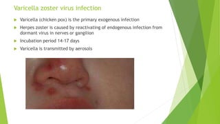 Varicella zoster virus infection
 Varicella (chicken pox) is the primary exogenous infection
 Herpes zoster is caused by reactivating of endogenous infection from
dormant virus in nerves or gangilion
 Incubation period 14-17 days
 Varicella is transmitted by aerosols
 