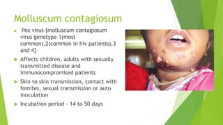Molluscum contagiosum
 Pox virus [molluscum contagiosum
virus genotype 1(most
common),2(common in hiv patients),3
and 4]
 Affects children, adults with sexually
transmitted disease and
immunocompromised patients
 Skin to skin transmission, contact with
fomites, sexual transmission or auto
inoculation
 Incubation period – 14 to 50 days
 