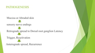 PATHOGENESIS
Mucosa or Abraded skin
sensory nerve endings
Retrograde spread to Dorsal root ganglion Latency
Trigger, Reactivation
Anterograde spread, Recurrence
 