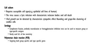 Comprehensive Overview of Viral Infections Affecting Cardiovascular and ...