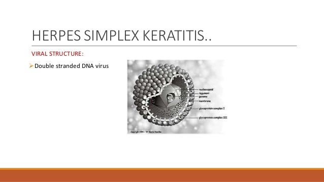 Viral Keratitis Pathogenesis