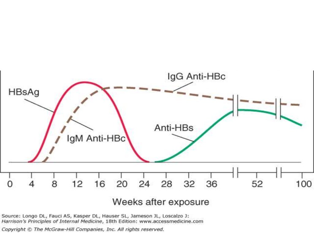 Hepatitis Viral Markers