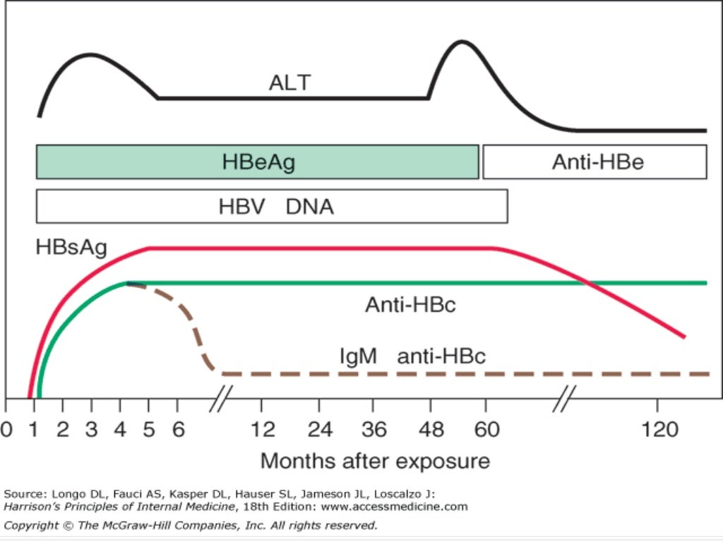 Hepatitis Viral Markers