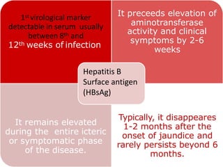1st virological marker
detectable in serum usually
between 8th and
12th weeks of infection
It preceeds elevation of
aminotransferase
activity and clinical
symptoms by 2-6
weeks
It remains elevated
during the entire icteric
or symptomatic phase
of the disease.
Typically, it disappeares
1-2 months after the
onset of jaundice and
rarely persists beyond 6
months.
Hepatitis B
Surface antigen
(HBsAg)
 