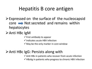 Hepatitis B core antigen
Expressed on the surface of the nucleocapsid
core Not secreted and remains within
hepatocytes
Anti HBc IgM
First antibody to appear
Indicates acute HBV infection
May be the only marker in core window
Anti HBc IgG: Persists along with
Anti HBs in patients who recover from acute infection
HBsAg in patients who progress to chronic HBV infection
 