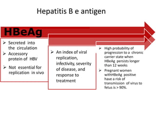HBeAg
 Secreted into
the circulation
 Not essential for
replication in vivo
 Accessory
protein of HBV
 An index of viral
replication,
infectivity, severity
of disease, and
response to
treatment
 High probability of
progression to a chronic
carrier state when
HBeAg persists longer
than 12 weeks
 Pregnant women
withHBeAg positive
have a risk of
transmission of virus to
fetus is > 90%.
Hepatitis B e antigen
 