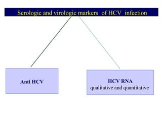Anti HCVAnti HCV HCV RNA
qualitative and quantitative
HCV RNA
qualitative and quantitative
Serologic and virologic markers of HCV infection
 