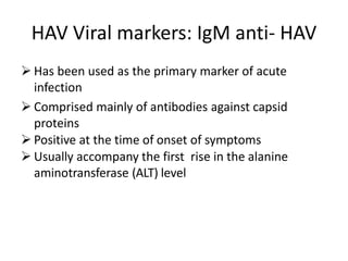 HAV Viral markers: IgM anti- HAV
 Has been used as the primary marker of acute
infection
 Comprised mainly of antibodies against capsid
proteins
 Positive at the time of onset of symptoms
 Usually accompany the first rise in the alanine
aminotransferase (ALT) level
 