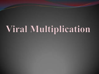 Viral multiplication | PPTX