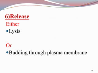 6)Release
Either
Lysis
Or
Budding through plasma membrane

16

 