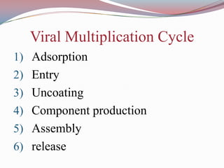 Viral Multiplication Cycle
1) Adsorption
2) Entry
3) Uncoating
4) Component production
5) Assembly
6) release

 