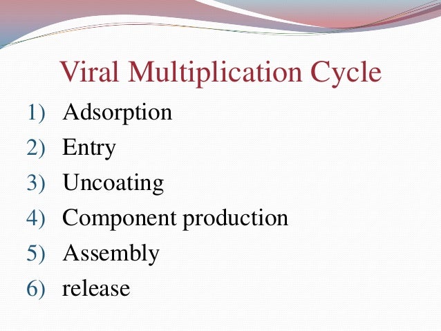 viral-multiplication
