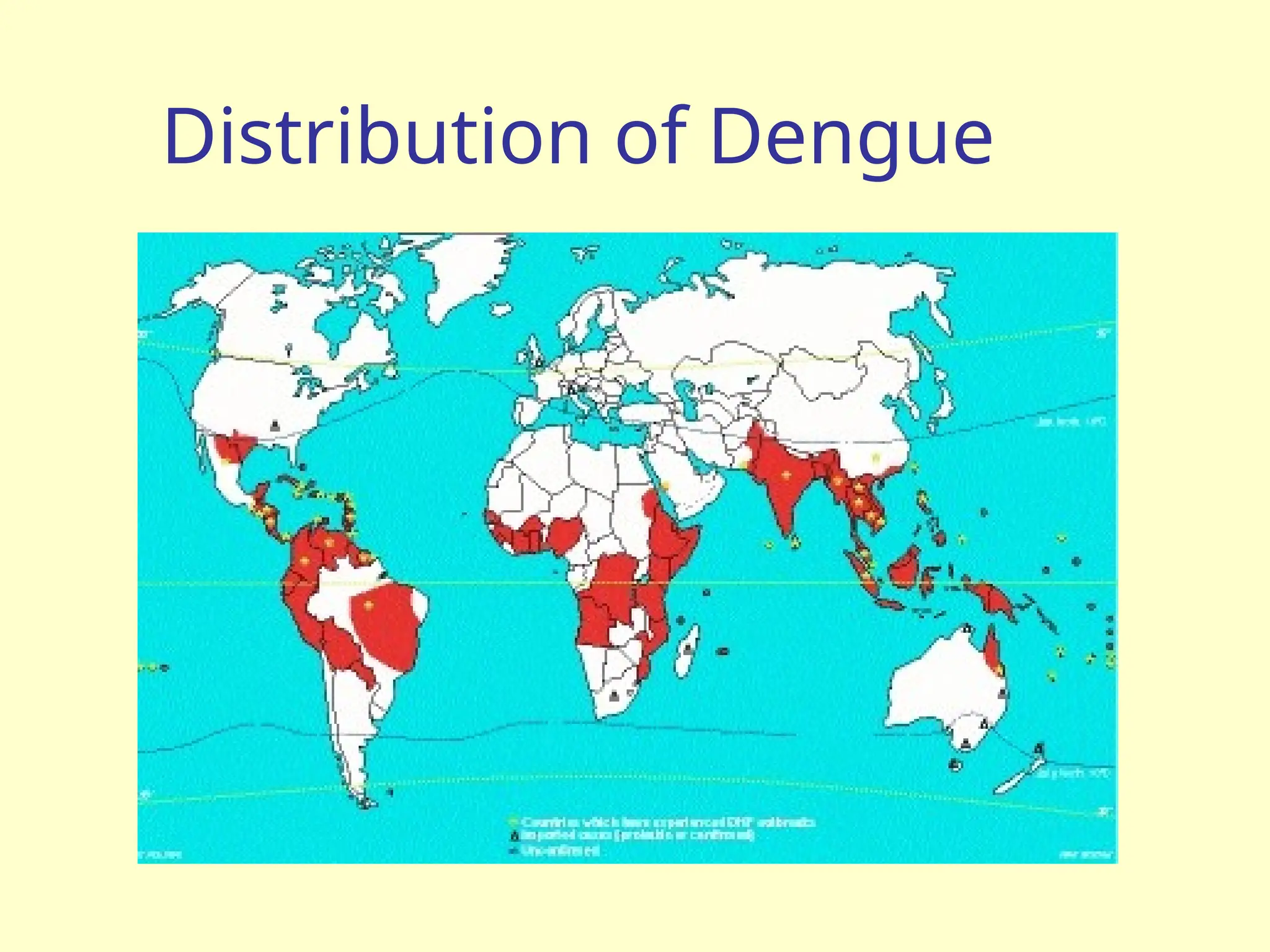 Distribution of Dengue
 