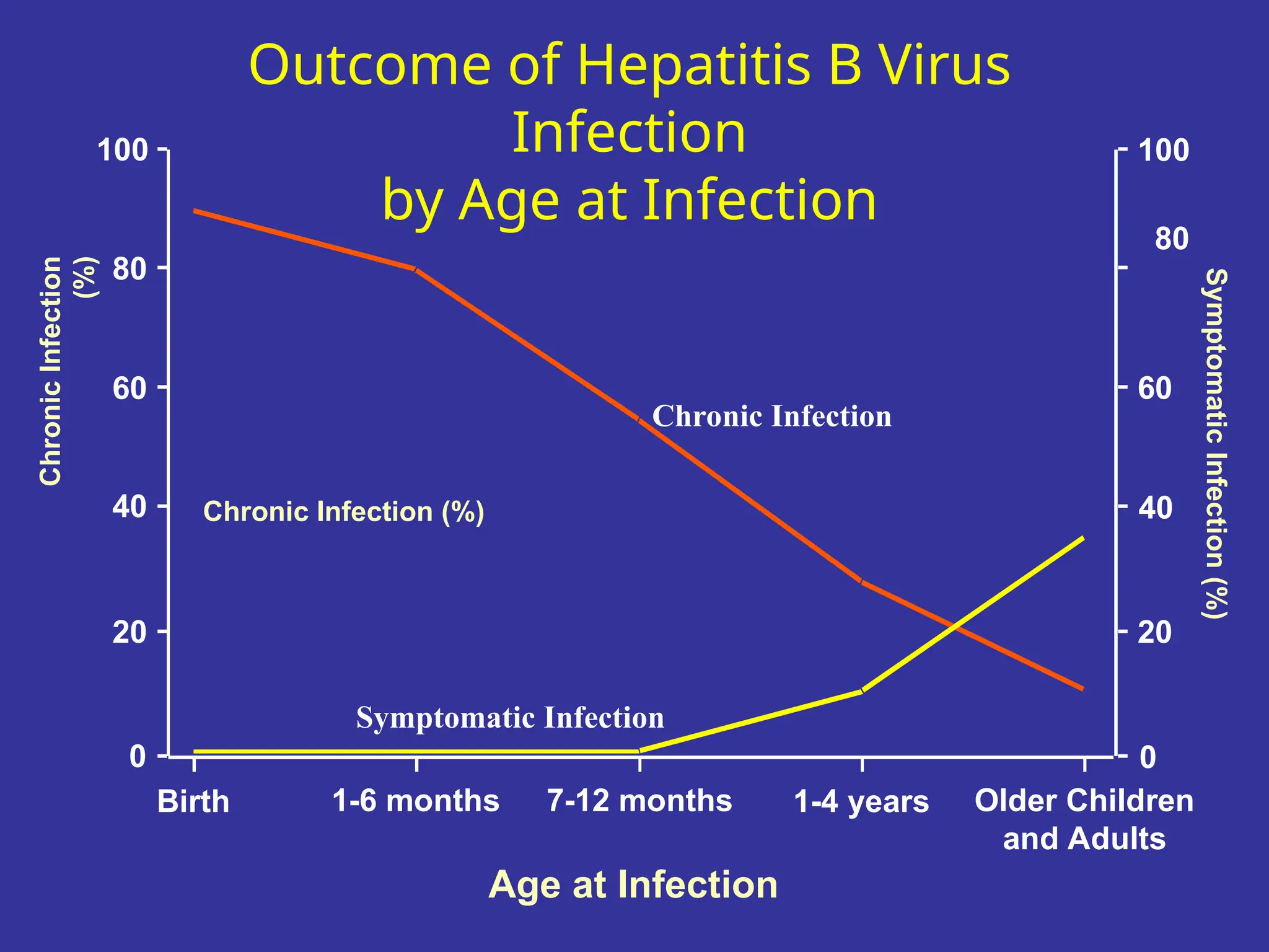 Symptomatic Infection
Chronic Infection
Age at Infection
Chronic Infection (%)
Symptomatic
Infection
(%)
Birth 1-6 months 7-12 months 1-4 years Older Children
and Adults
0
20
40
60
80
100
100
80
60
40
20
0
Outcome of Hepatitis B Virus
Infection
by Age at Infection
Chronic
Infection
(%)
 
