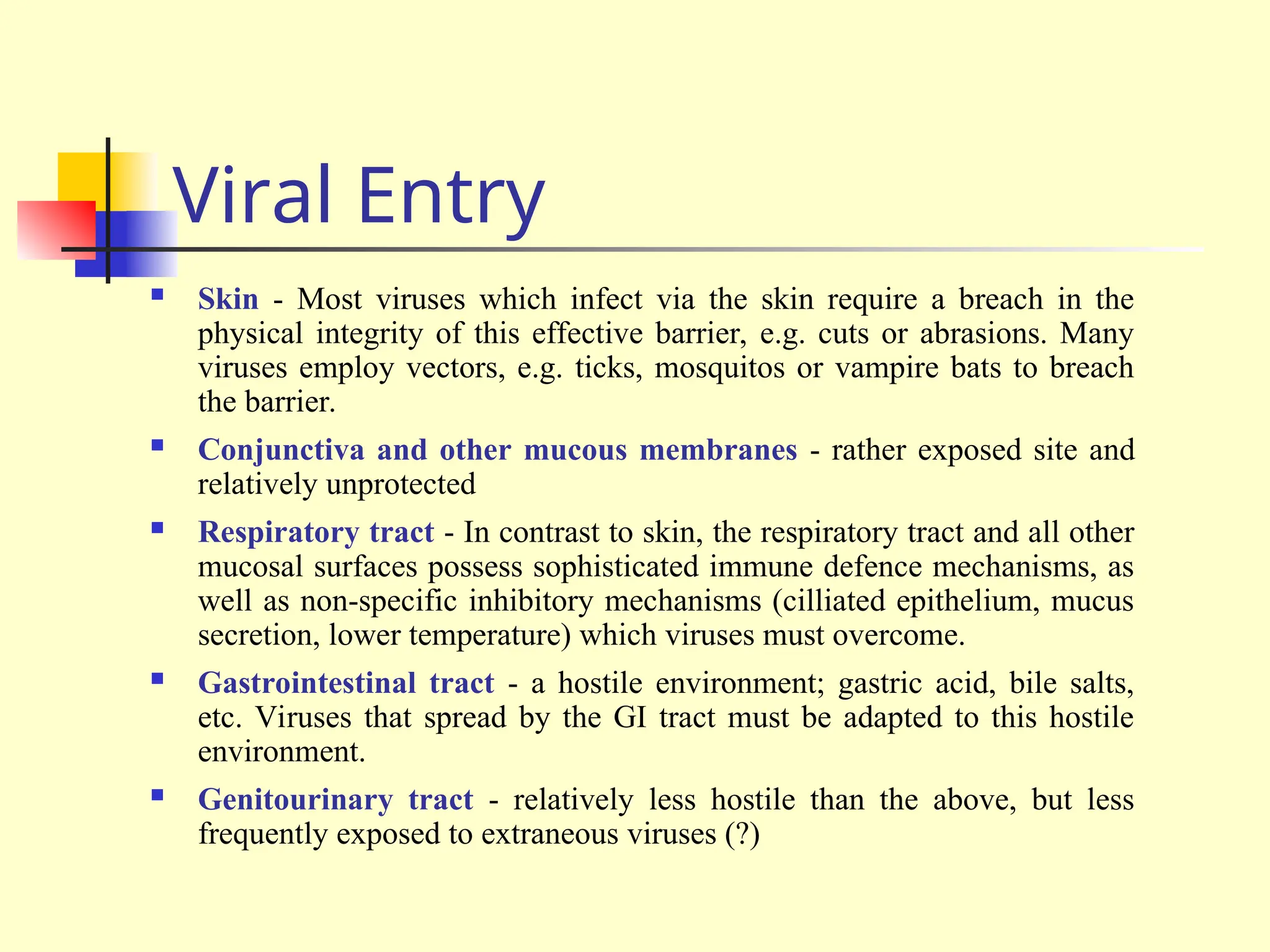 Viral Entry
 Skin - Most viruses which infect via the skin require a breach in the
physical integrity of this effective barrier, e.g. cuts or abrasions. Many
viruses employ vectors, e.g. ticks, mosquitos or vampire bats to breach
the barrier.
 Conjunctiva and other mucous membranes - rather exposed site and
relatively unprotected
 Respiratory tract - In contrast to skin, the respiratory tract and all other
mucosal surfaces possess sophisticated immune defence mechanisms, as
well as non-specific inhibitory mechanisms (cilliated epithelium, mucus
secretion, lower temperature) which viruses must overcome.
 Gastrointestinal tract - a hostile environment; gastric acid, bile salts,
etc. Viruses that spread by the GI tract must be adapted to this hostile
environment.
 Genitourinary tract - relatively less hostile than the above, but less
frequently exposed to extraneous viruses (?)
 
