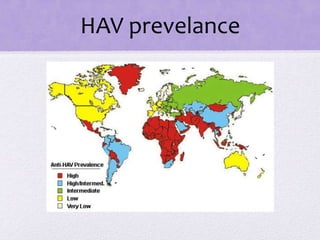 HAV prevelance
 