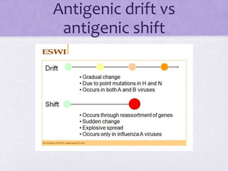 Antigenic drift vs
antigenic shift
 