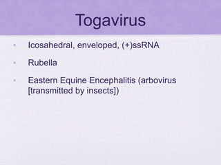 Togavirus
• Icosahedral, enveloped, (+)ssRNA
• Rubella
• Eastern Equine Encephalitis (arbovirus
[transmitted by insects])
 