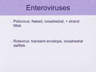 Enteroviruses
 Poliovirus: Naked, icosahedral, + strand
RNA
 Rotavirus: transient envelope, icosahedral
dsRNA
 