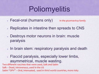 Poliomyelitis
 Fecal-oral (humans only)
 Replicates in intestine then spreads to CNS
 Destroys motor neurons in brain: muscle
paralysis
 In brain stem: respiratory paralysis and death
 Flaccid paralysis, especially lower limbs,
asymmetrical, muscle wasting.
Two different vaccines that were used, Salk and Sabin
Salk – Dead, intravenous, used in the US
Sabin “OPV” – Oral, intenuated, used in third world countries, more risky
In the picornavirus family
 