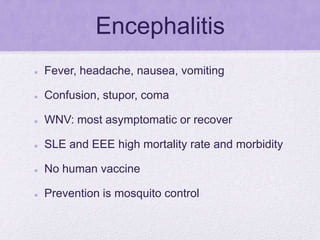 Encephalitis
 Fever, headache, nausea, vomiting
 Confusion, stupor, coma
 WNV: most asymptomatic or recover
 SLE and EEE high mortality rate and morbidity
 No human vaccine
 Prevention is mosquito control
 
