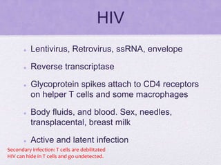 HIV
 Lentivirus, Retrovirus, ssRNA, envelope
 Reverse transcriptase
 Glycoprotein spikes attach to CD4 receptors
on helper T cells and some macrophages
 Body fluids, and blood. Sex, needles,
transplacental, breast milk
 Active and latent infection
Secondary infection: T cells are debilitated
HIV can hide in T cells and go undetected.
 