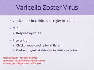 Varicella Zoster Virus
• Chickenpox in children, shingles in adults
• MOT
• Respiratory route
• Prevention
• Chickenpox vaccine for children
• Zostavax against shingles in adults over 60
Maculopapular – raised red bumps
Chickenpox less dangerous before puberty
Can only get shingles after chickenpox
 