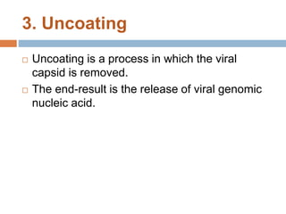 3. Uncoating
 Uncoating is a process in which the viral
capsid is removed.
 The end-result is the release of viral genomic
nucleic acid.
 