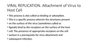 VIRAL REPLICATION.pptx created December 2024 | PPTX