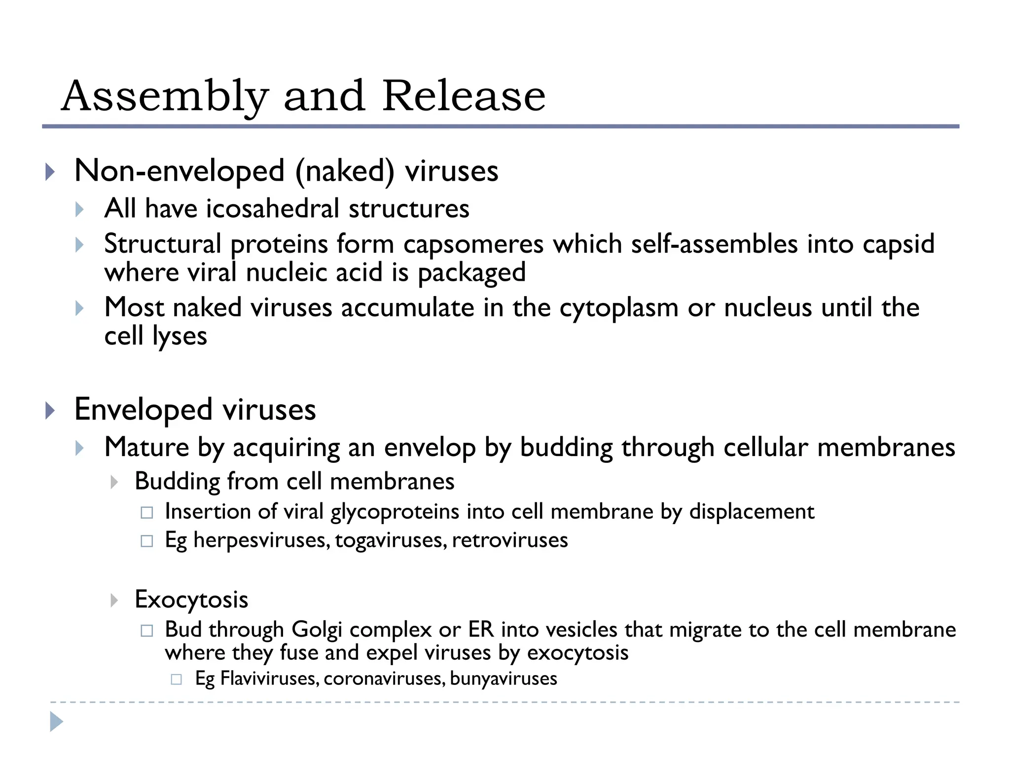 Viral replication and Mechanism of infection and spread of viruses ...