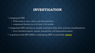 INVESTIGATION
• Congenital CMV
• PCR testing in urine, saliva, and subretinal fluid
• complement-fixation test is of value 5–24 months
• Congenital CMV retinitis is usually associated with other systemic manifestations
• fever, thrombocytopenia, anemia, pneumonitis, and hepatosplenomegaly
• in patients with HIV/AIDS or undergoing IMT is essentially clinical
 