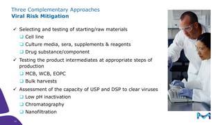 Three Complementary Approaches
Viral Risk Mitigation
✓ Selecting and testing of starting/raw materials
 Cell line
 Culture media, sera, supplements & reagents
 Drug substance/component
✓ Testing the product intermediates at appropriate steps of
production
 MCB, WCB, EOPC
 Bulk harvests
✓ Assessment of the capacity of USP and DSP to clear viruses
 Low pH inactivation
 Chromatography
 Nanofiltration
15
15
 
