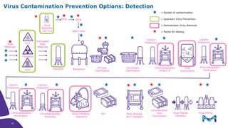 Virus Contamination Prevention Options: Detection
Secondary
Clarification
Chromatography
Protein A
Column
Protection
Column
Protection
Final FillingFinal Sterile
Filtration
Concentration
and
Formulation
Bulk Storage
and Transport
Viral
Inactivation
Column
Protection
Chromatography
Purification
Chromatography
Polishing
Virus Filtration
Clearance
TFF
Bioreactor
Column
Protection
Chromatography
Purification
Primary
Clarification
MCB
Pretreated
Raw
Materials
FiltrationHTST
γ Radiation
UV-CRaw
Materials
Virus
Resistant
Cell Line Seed Train
WCB
= Routes of contamination
= Upstream Virus Prevention
= Downstream Virus Removal
= Points for testing
18
18
 