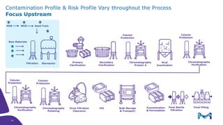 Contamination Profile & Risk Profile Vary throughout the Process
Focus Upstream
Secondary
Clarification
Chromatography
Protein A
Column
Protection
Column
Protection
Final FillingFinal Sterile
Filtration
Concentration
& Formulation
Bulk Storage
& Transport
Viral
Inactivation
Column
Protection
Chromatography
Purification
Chromatography
Polishing
Virus Filtration
Clearance
TFF
Bioreactor
Column
Protection
Chromatography
Purification
Primary
Clarification
MCB WCB Seed Train
Filtration
Raw Materials
29
29
 