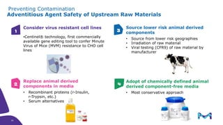 Preventing Contamination
Adventitious Agent Safety of Upstream Raw Materials
Consider virus resistant cell lines
•Centinel® technology, first commercially
available gene editing tool to confer Minute
Virus of Mice (MVM) resistance to CHO cell
lines
Replace animal derived
components in media
• Recombinant proteins (r-Insulin,
r-Trypsin, etc.)
• Serum alternatives
Source lower risk animal derived
components
• Source from lower risk geographies
• Irradiation of raw material
• Viral testing (CFR9) of raw material by
manufacturer
Adopt of chemically defined animal
derived component-free media
• Most conservative approach
1
2
3
4
30
30
 
