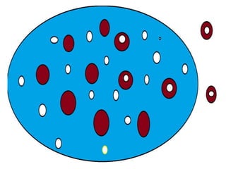 controlled drug delivery with magnetoelectric nanoparticles | PPTX