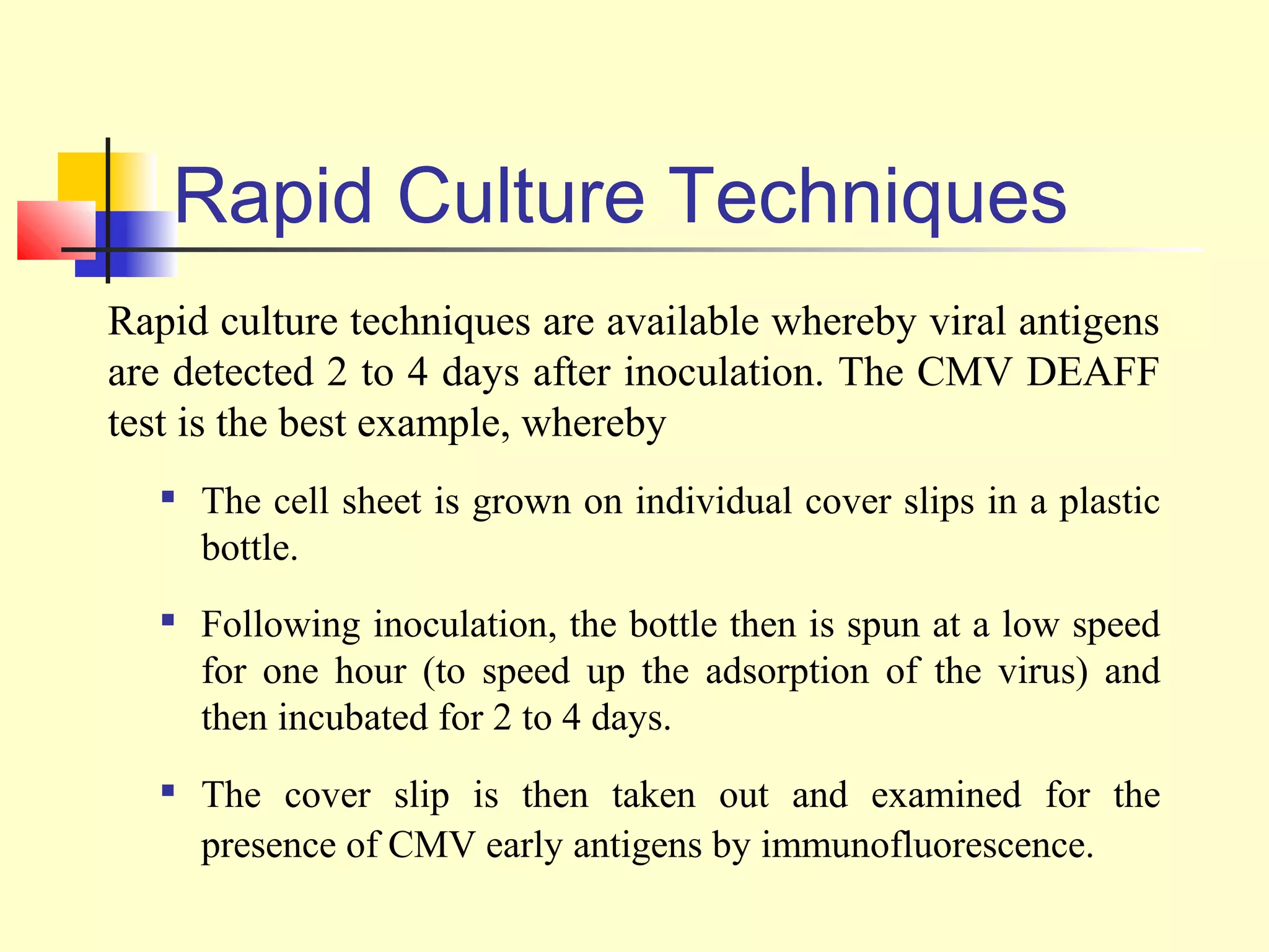 Rapid Culture Techniques
Rapid culture techniques are available whereby viral antigens
are detected 2 to 4 days after inoculation. The CMV DEAFF
test is the best example, whereby
      The cell sheet is grown on individual cover slips in a plastic
       bottle.
      Following inoculation, the bottle then is spun at a low speed
       for one hour (to speed up the adsorption of the virus) and
       then incubated for 2 to 4 days.
      The cover slip is then taken out and examined for the
       presence of CMV early antigens by immunofluorescence.
 